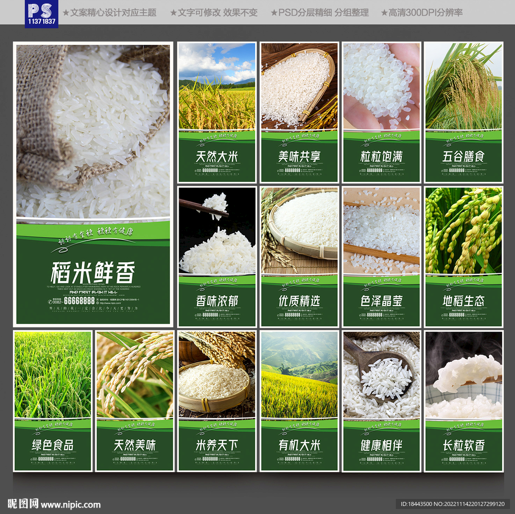 大米