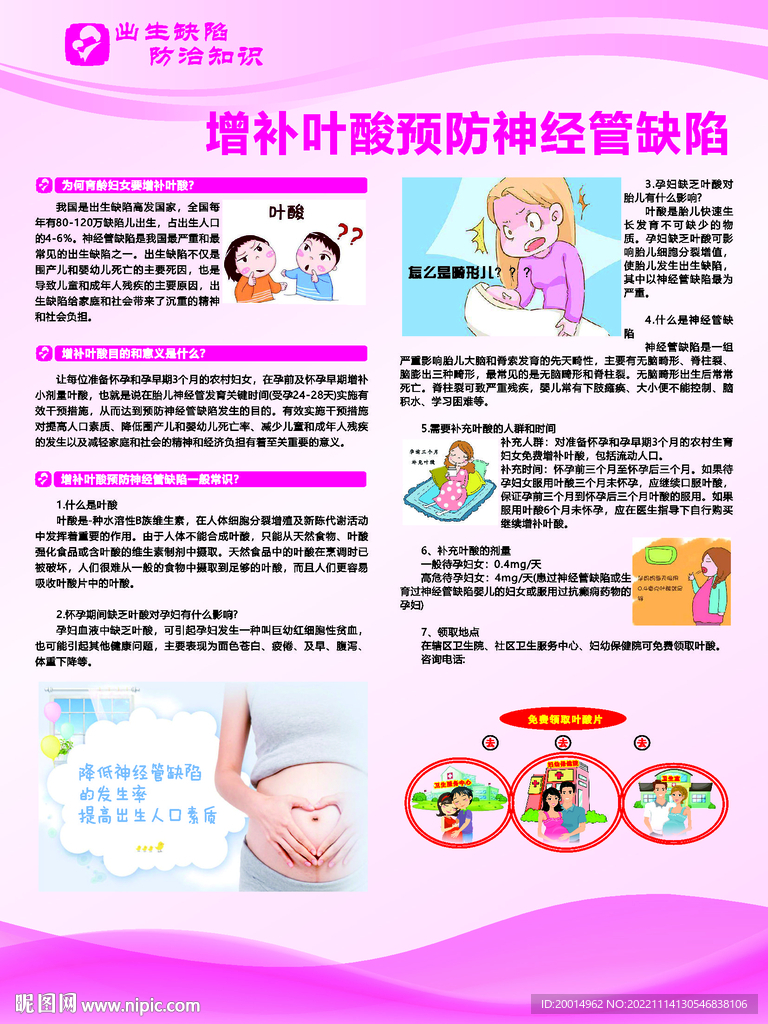 增补叶酸预防神经管缺陷