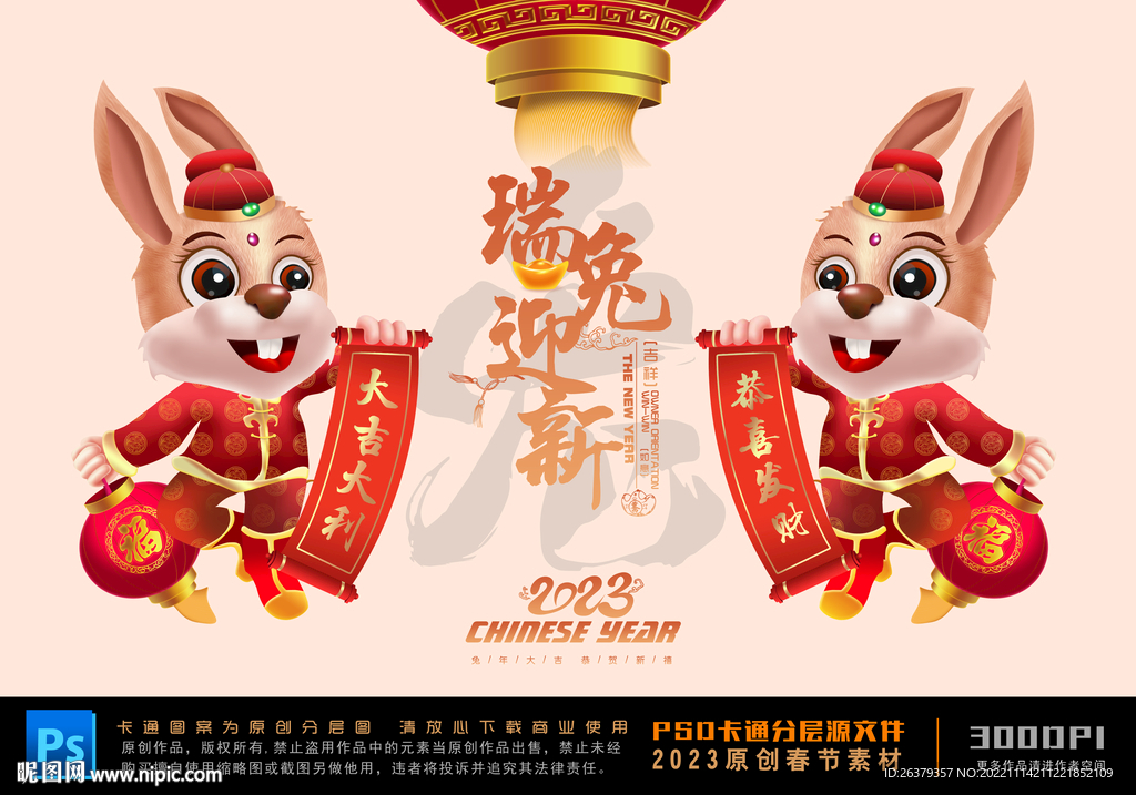 兔年