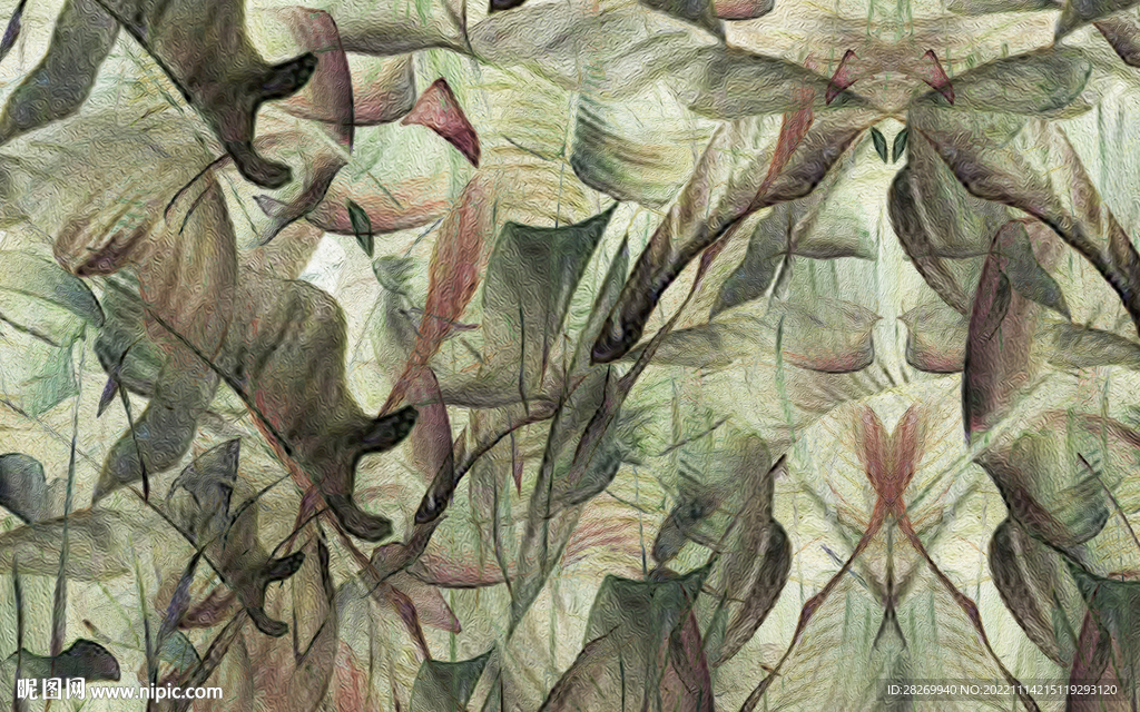 芭蕉叶 
