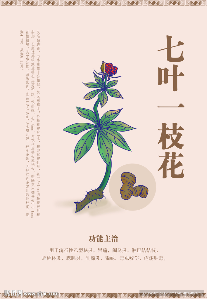 七叶一枝花
