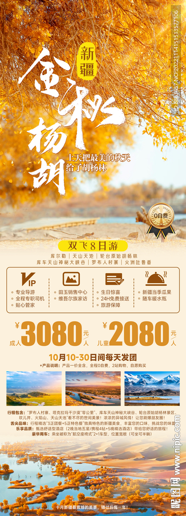 金秋杨胡