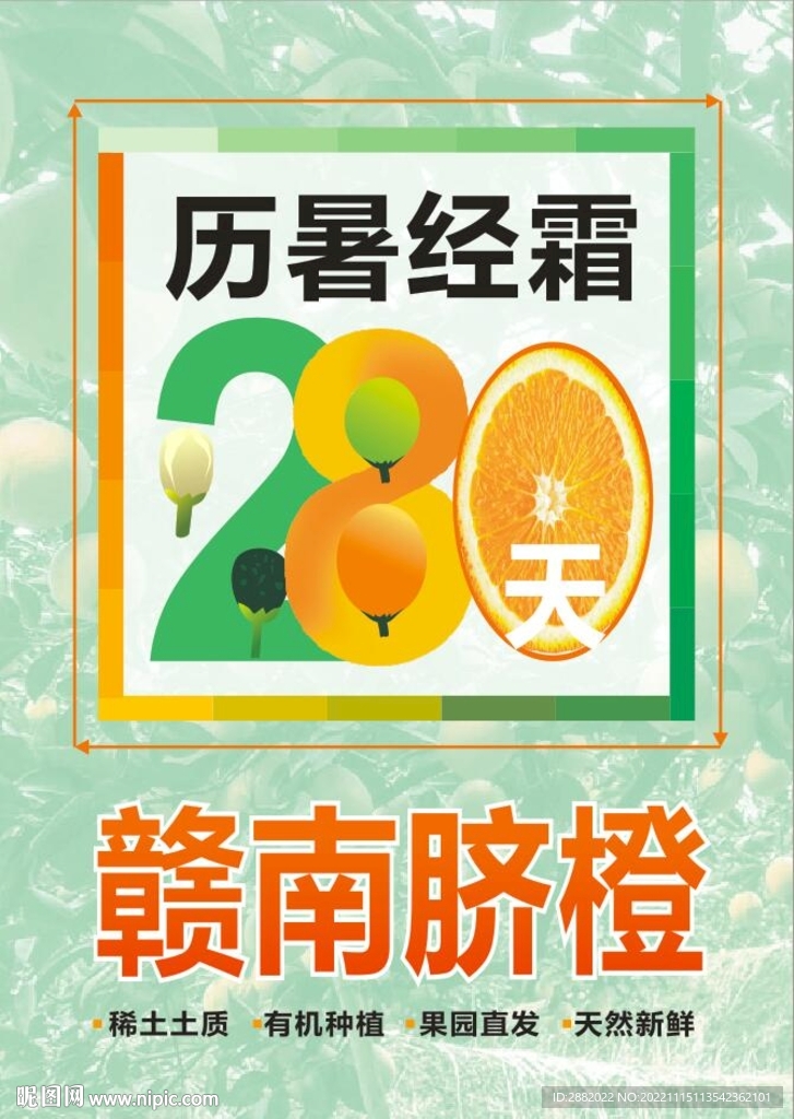 赣南脐橙