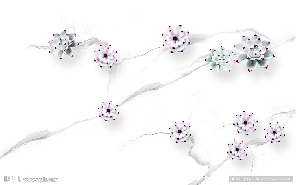 玉兰花朵 灰白根大理石背景墙