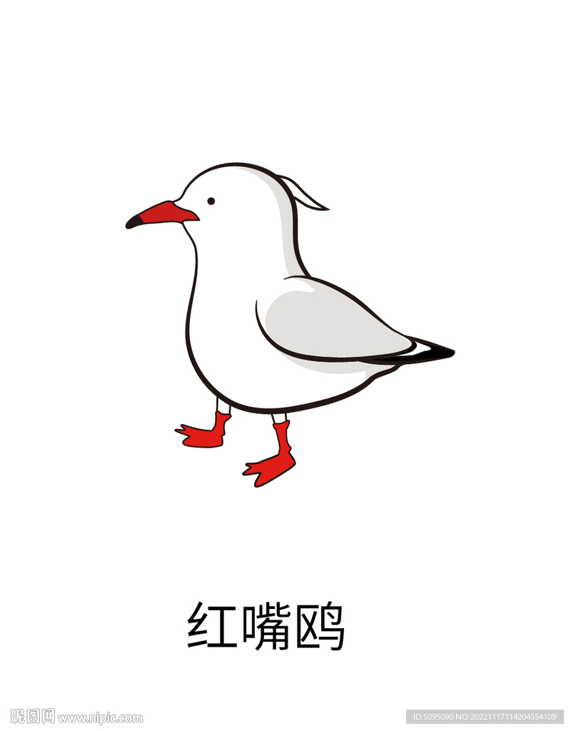 红嘴鸥 矢量线条