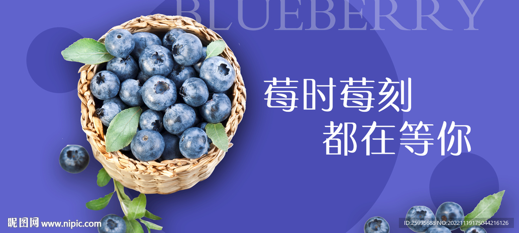 蓝莓海报灯箱