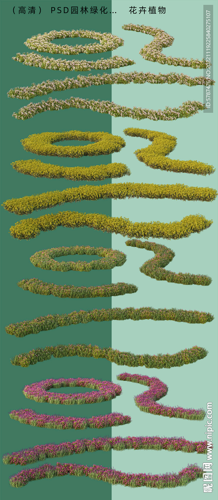 园林花卉