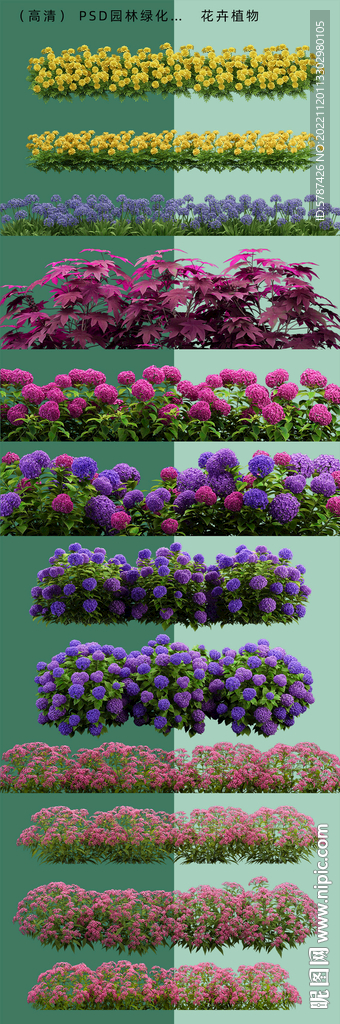 过道花卉装饰