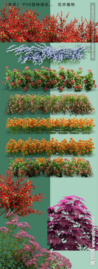 高清花卉