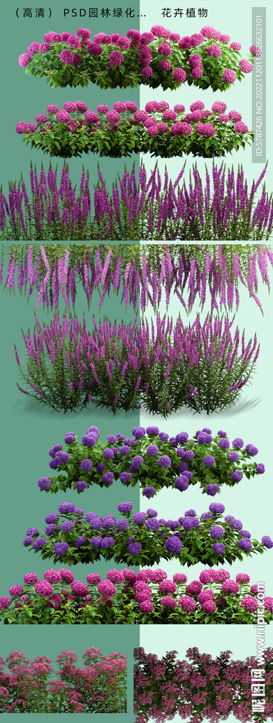 花卉植物绿化