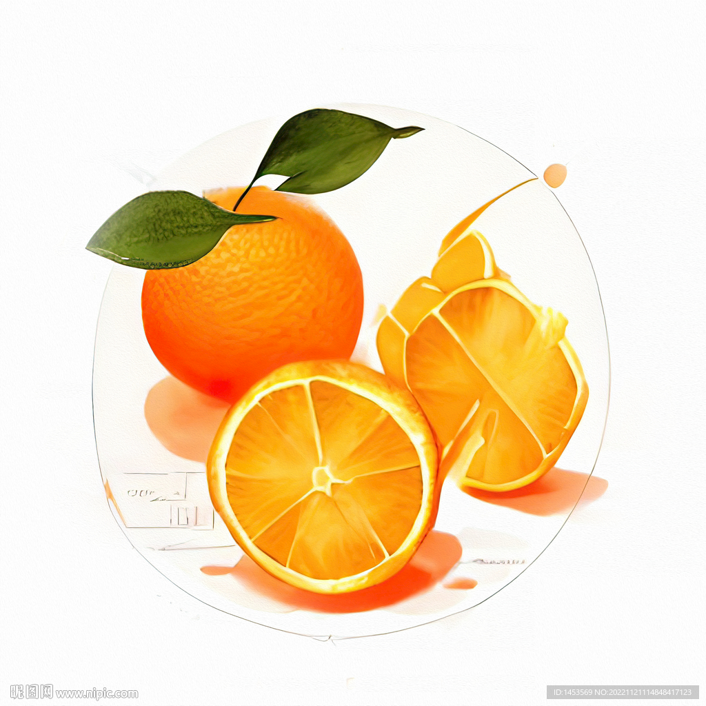 橙子生物结构图图片