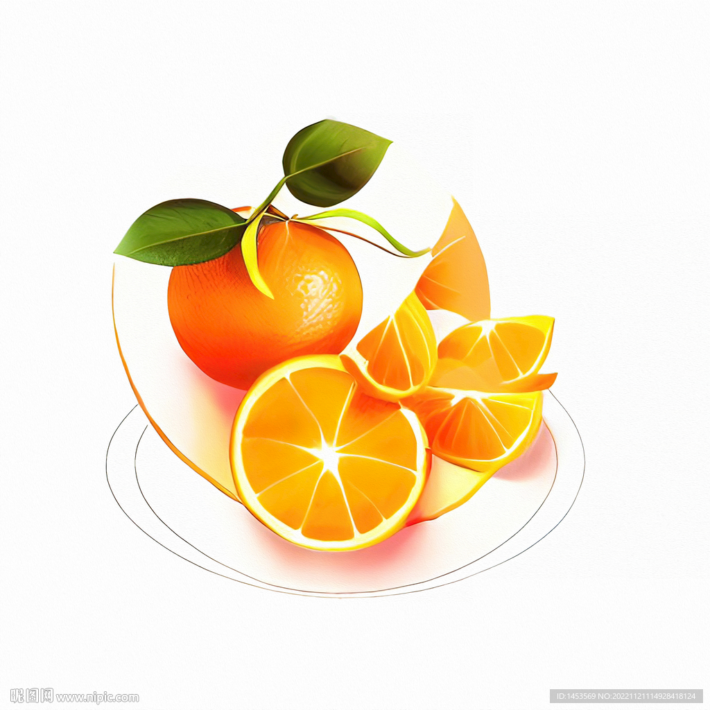 橘子橙子手绘素描线描插画素材设计图__其他_广告设计_设计图库_昵图网nipic.com
