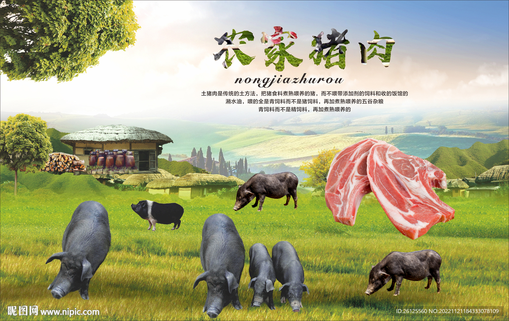 农家猪肉