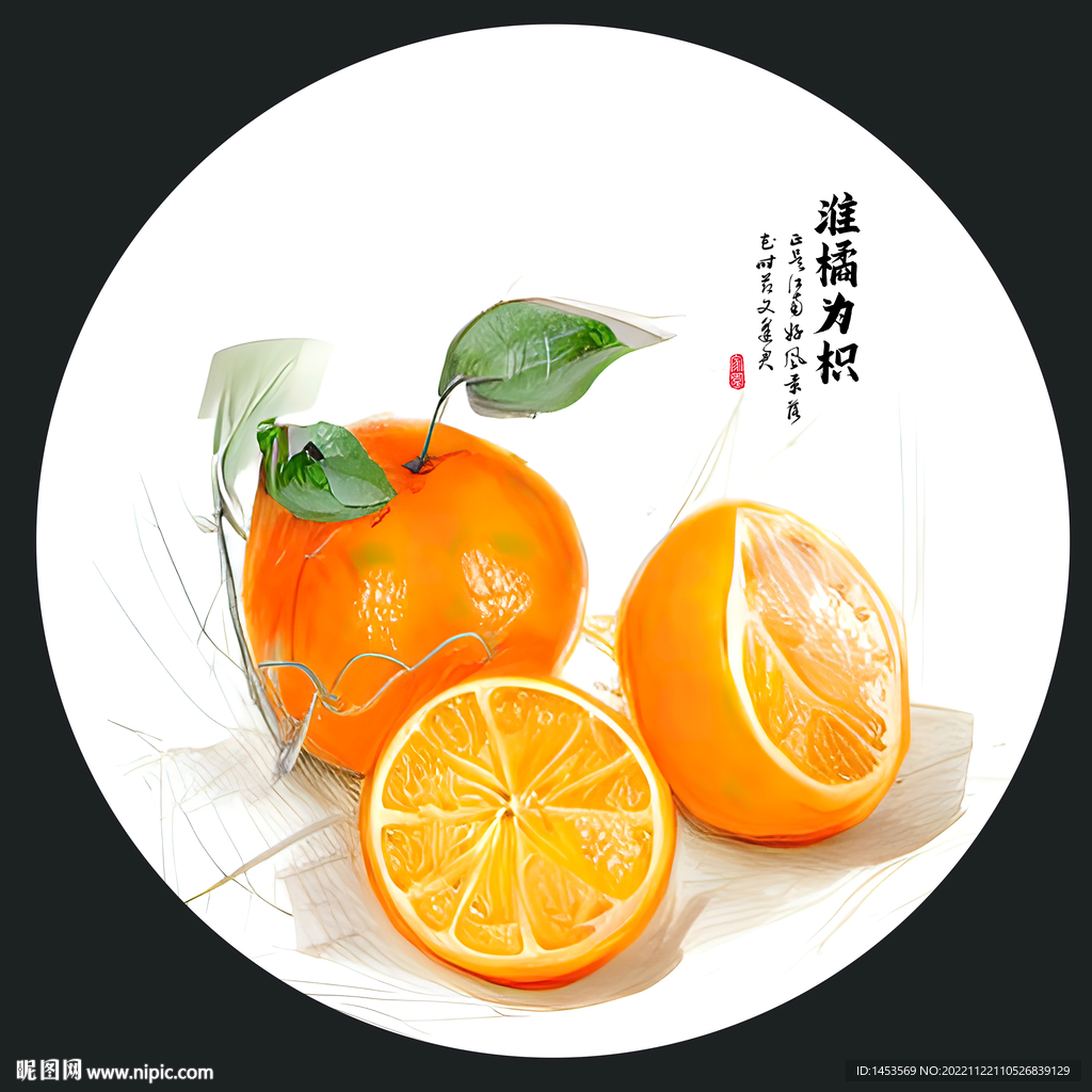 橙子插画