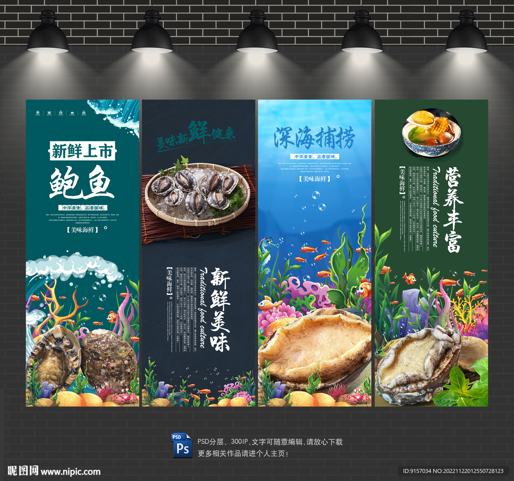 鲍鱼