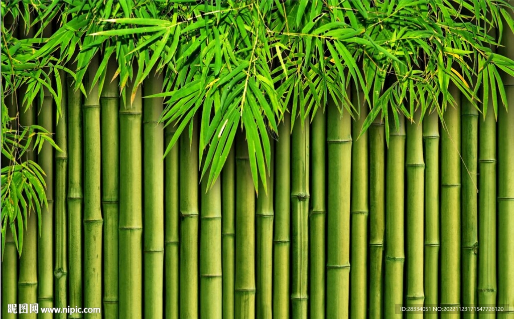 高清竹林风景电视背景墙