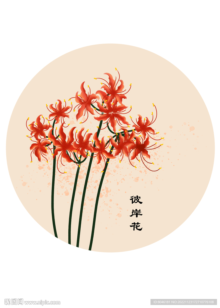 彼岸花插画