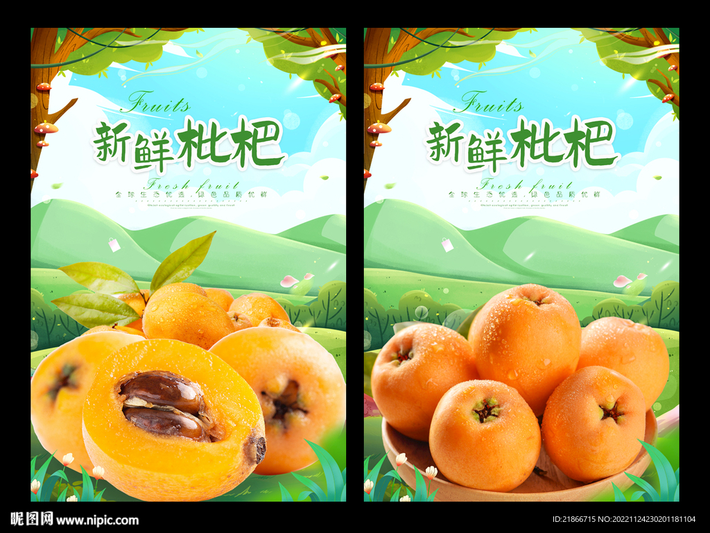 枇杷