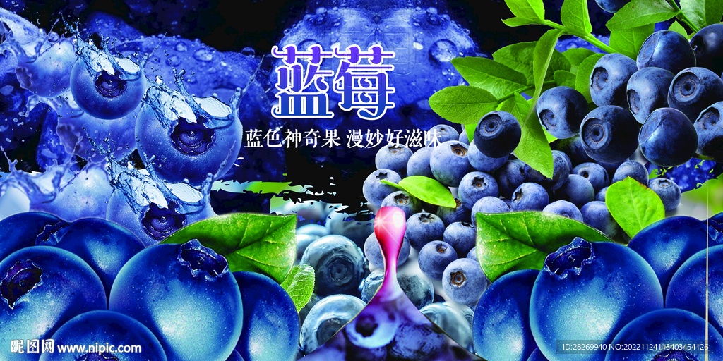蓝莓 