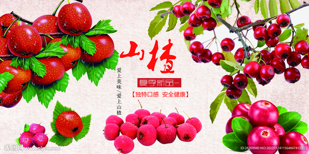 山楂 
