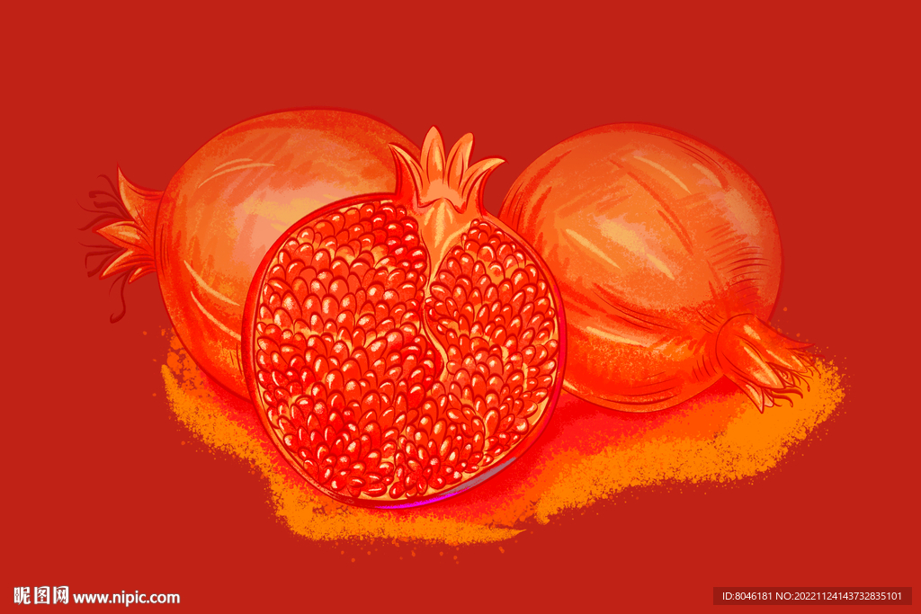 石榴插画