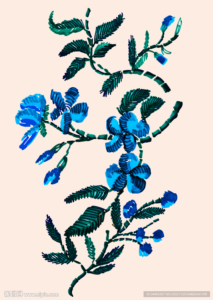 手绘花卉
