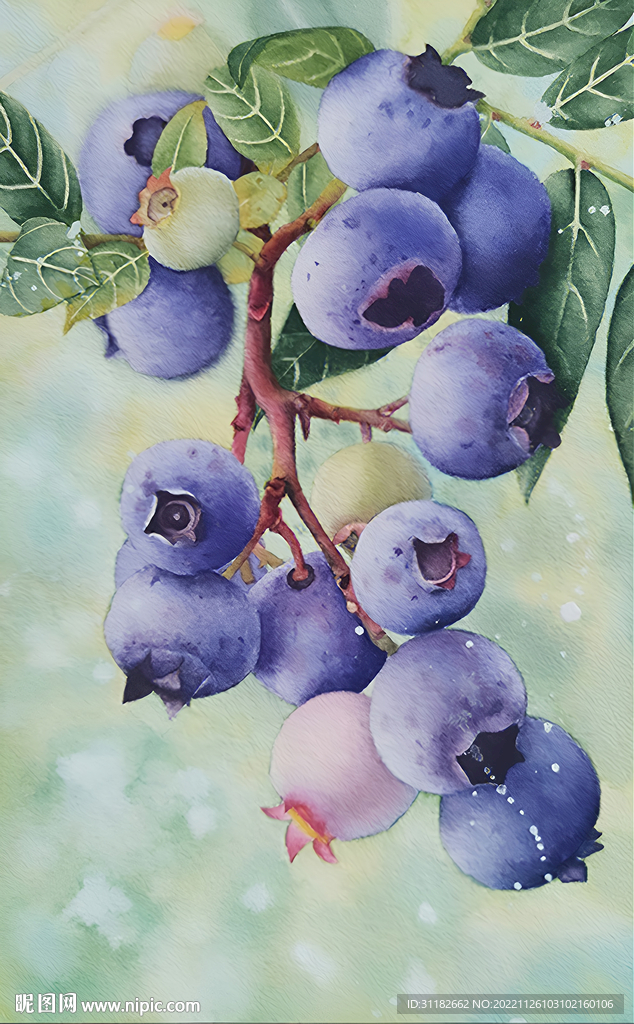 蓝莓装饰画