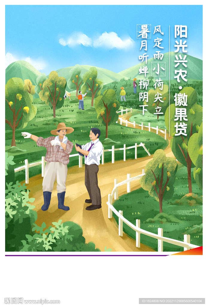 节气海报