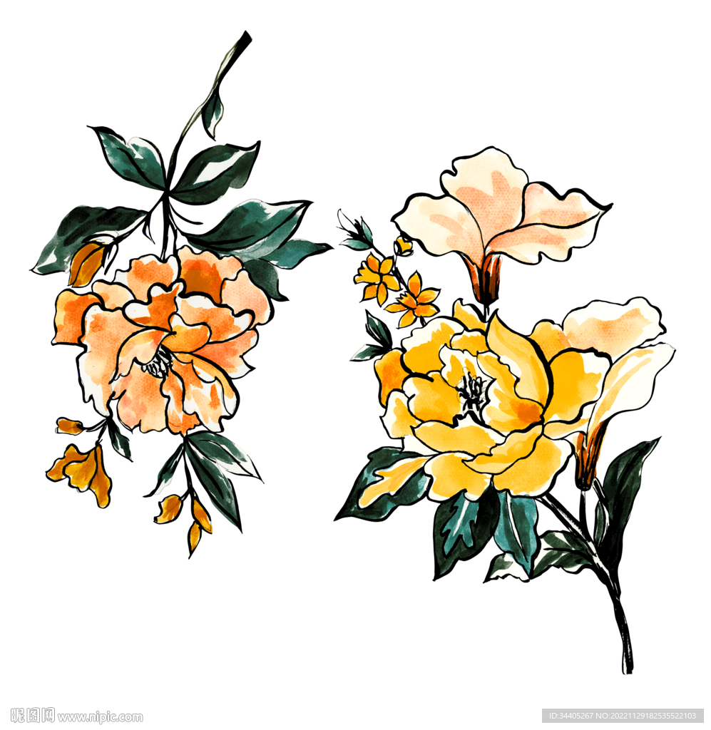 手绘花卉