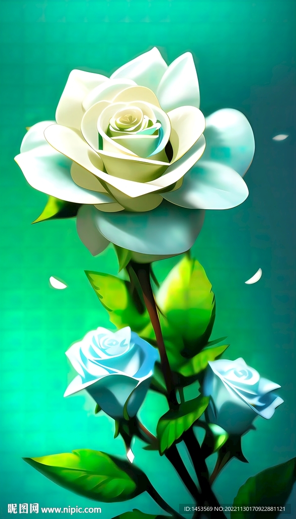 玫瑰花