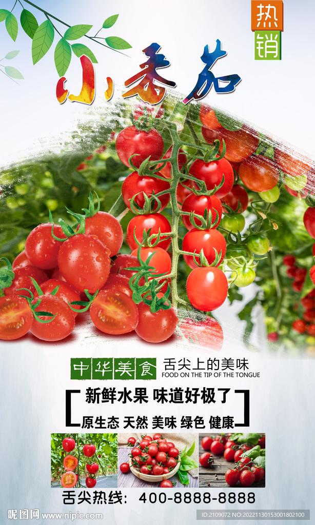 小番茄  