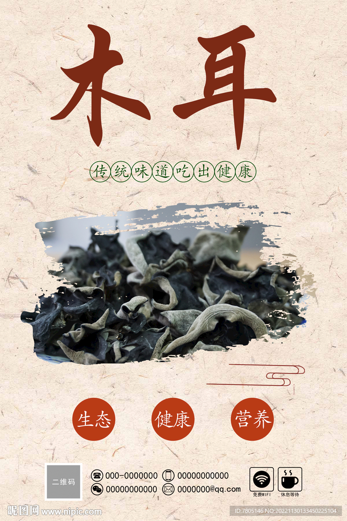 木耳的结构简图图片