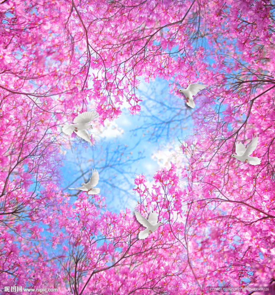 浪漫樱花