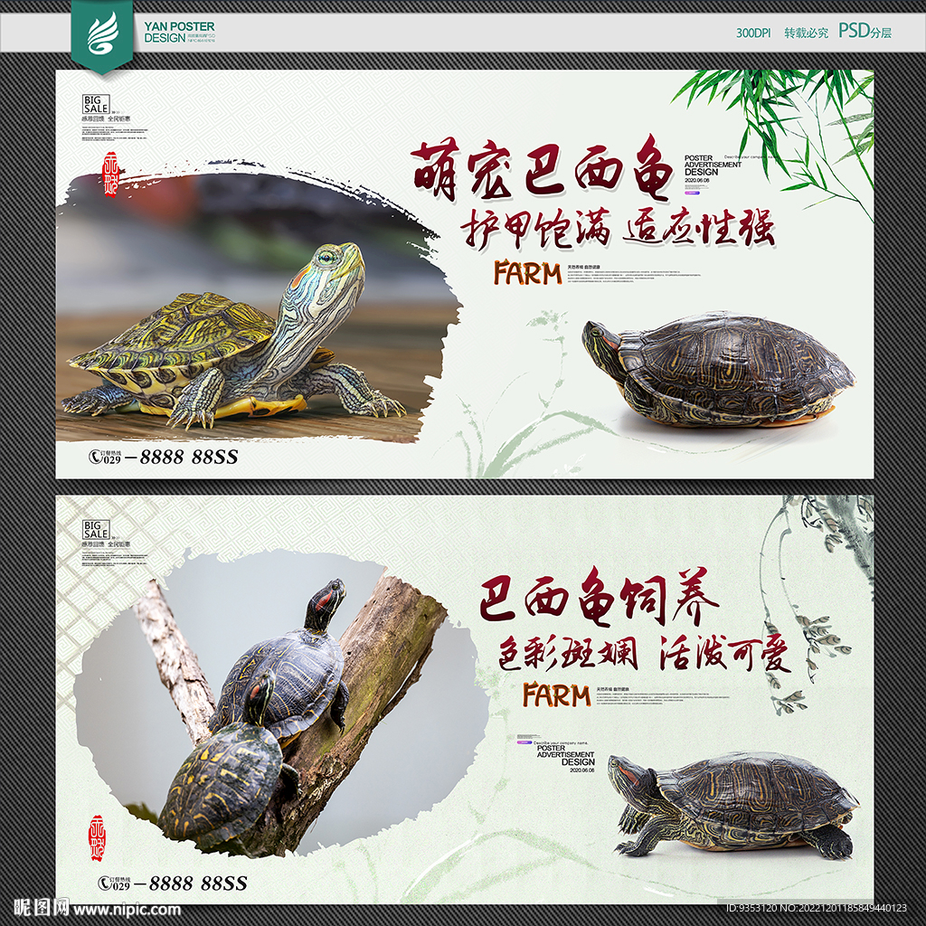 巴西龟