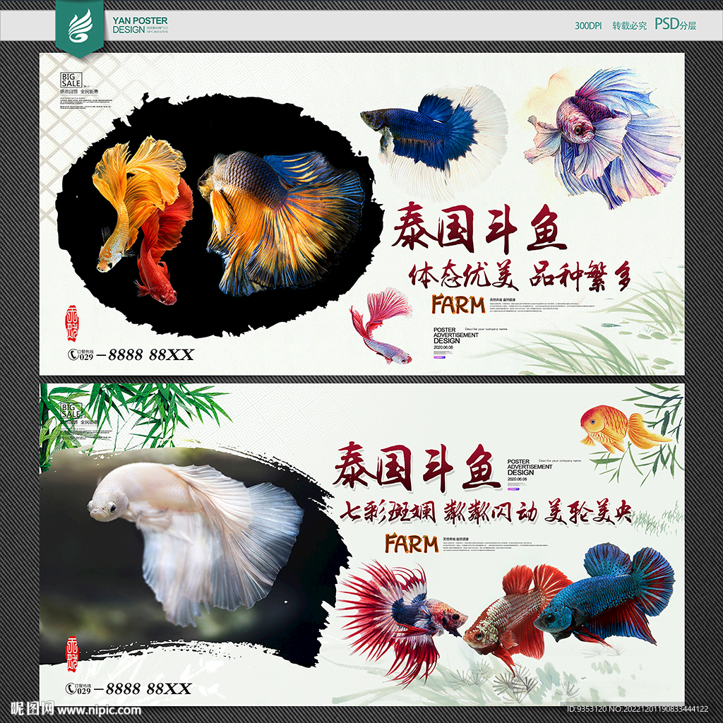 斗鱼