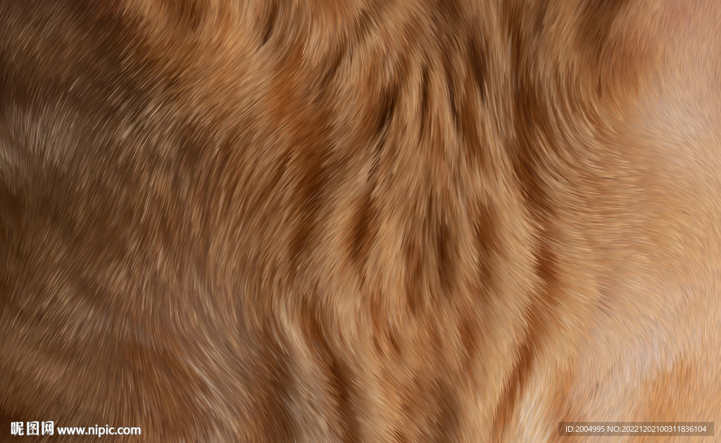 金色毛发纹理