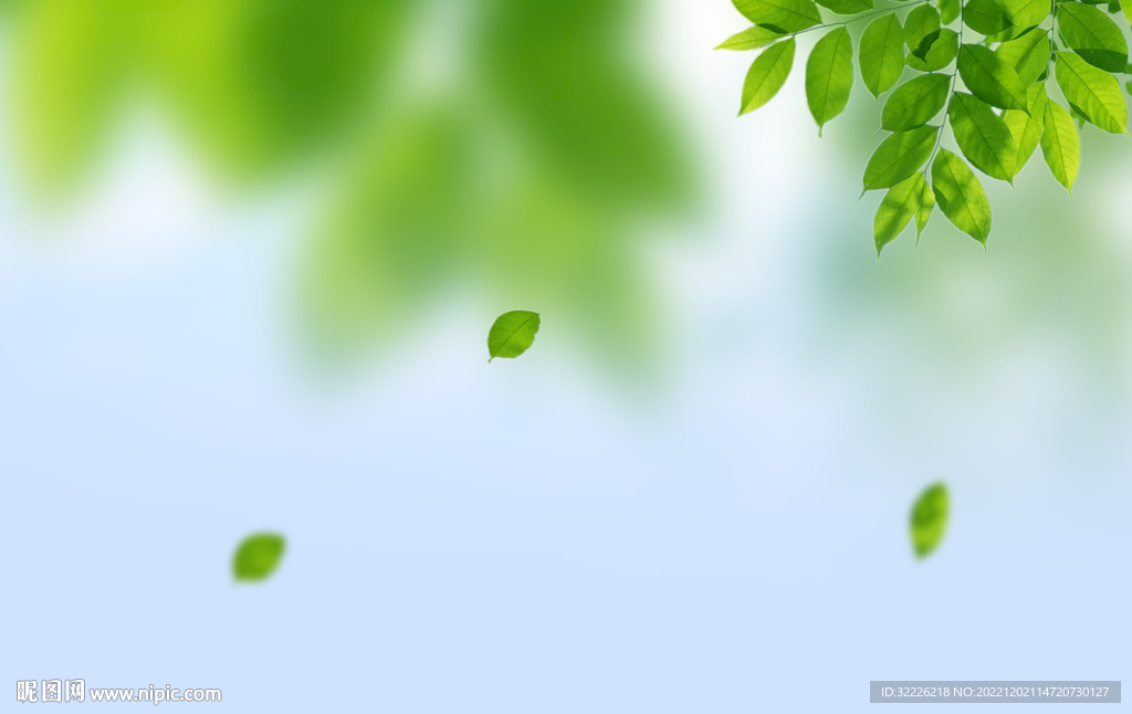 绿色清新背景 