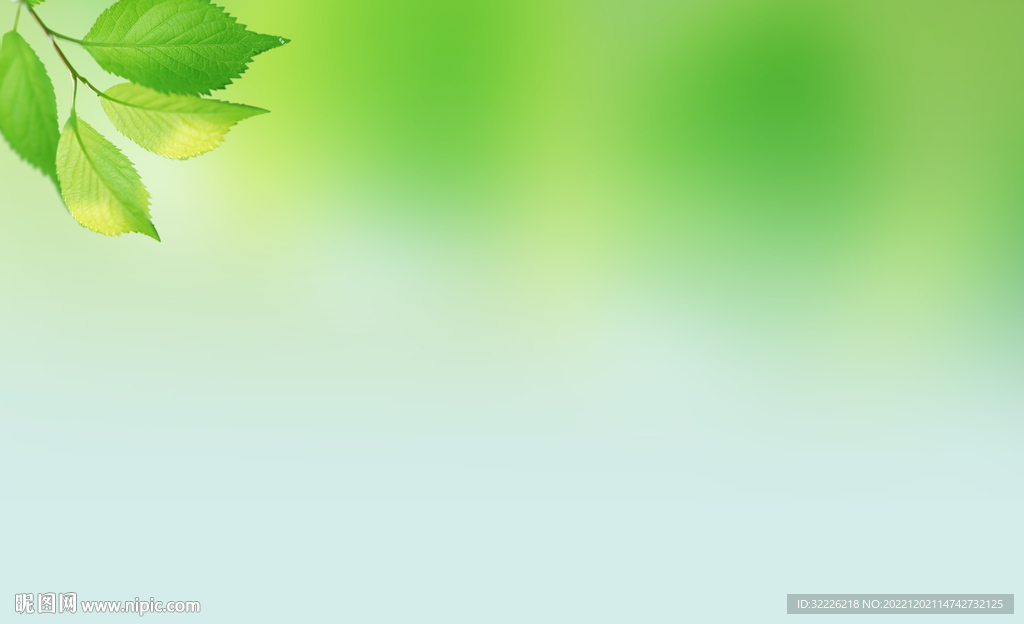 绿色清新背景 