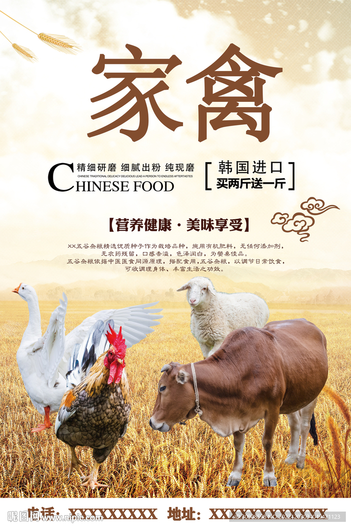 家禽