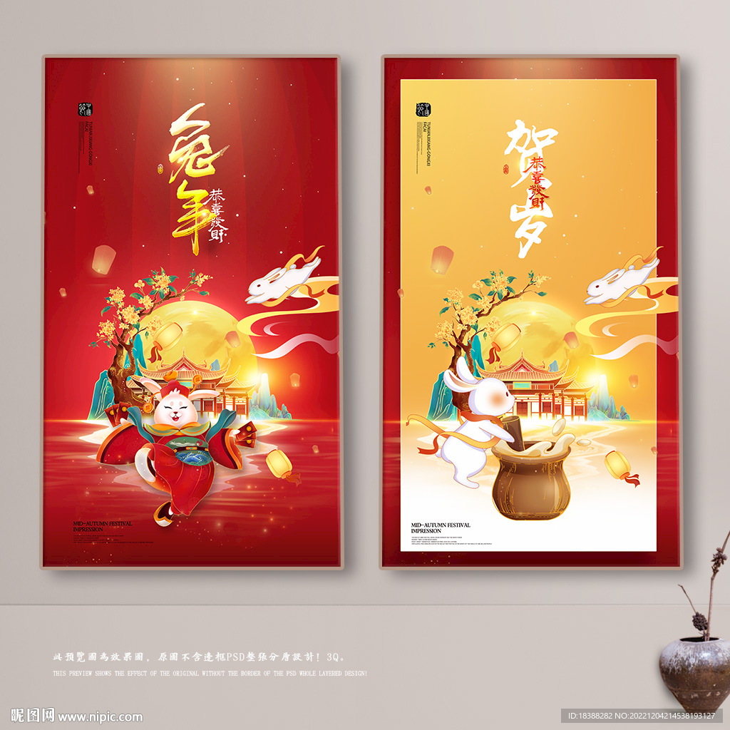 兔年