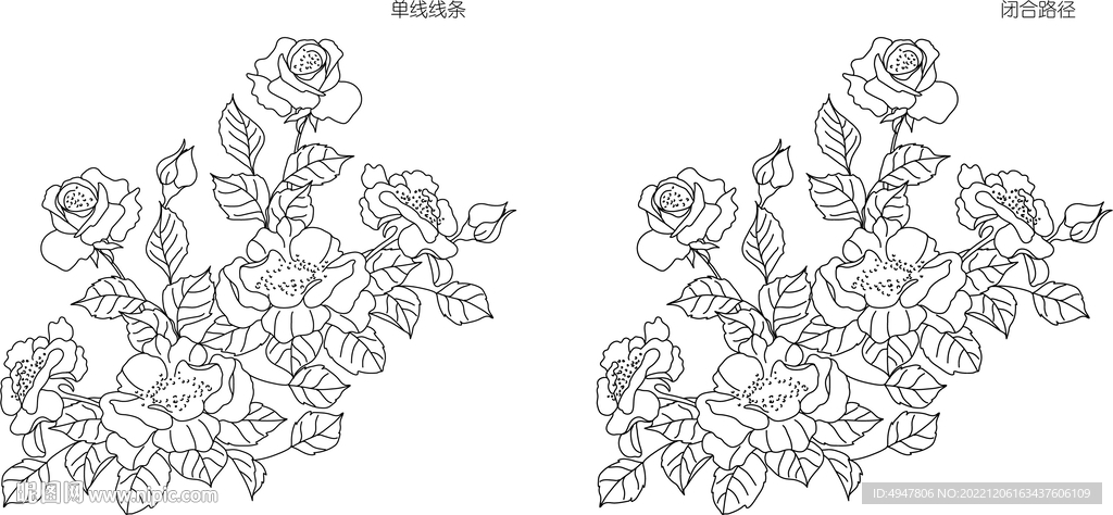玫瑰花 矢量图