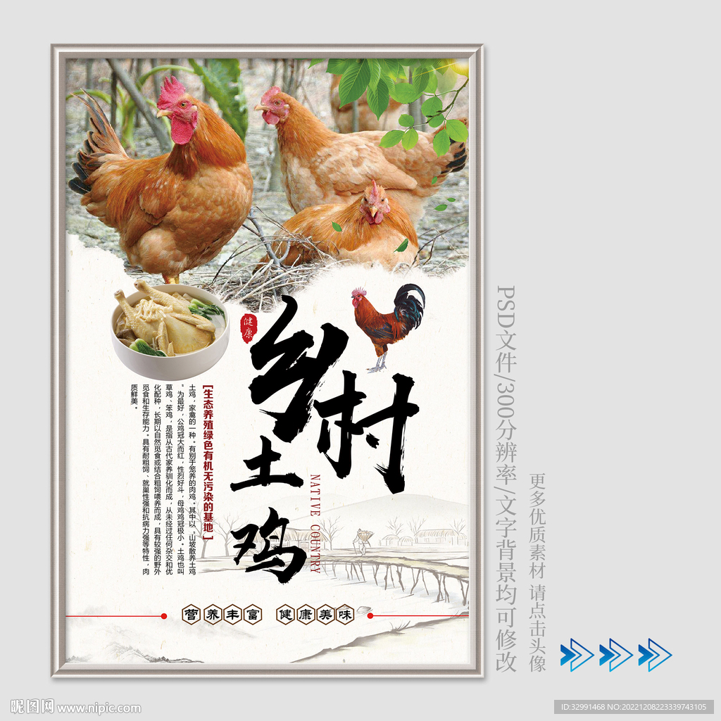 乡村土鸡海报
