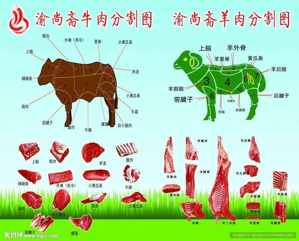 牛羊肉分割图