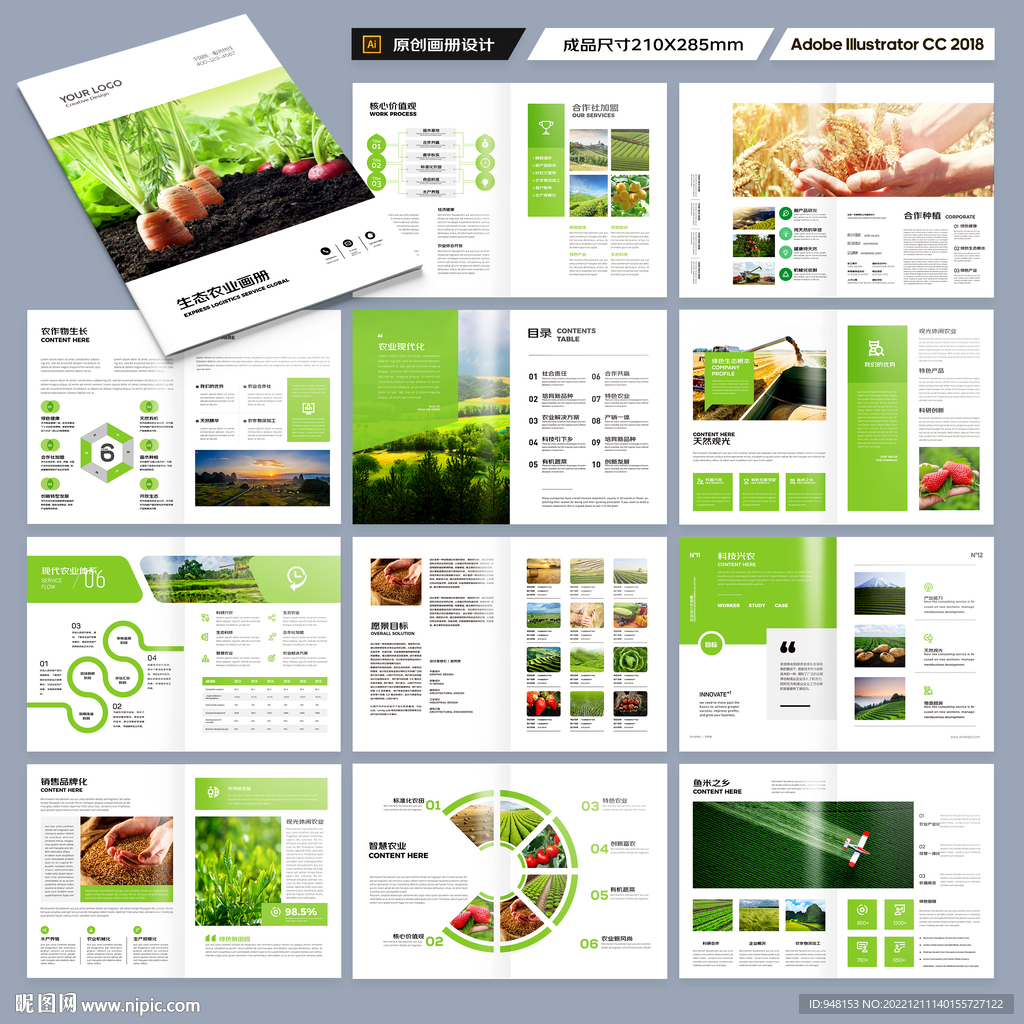 农产品宣传册
