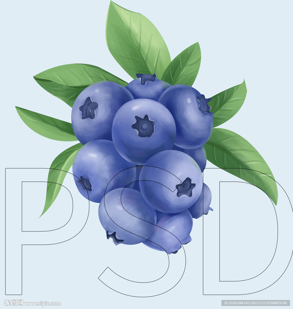 手绘蓝莓