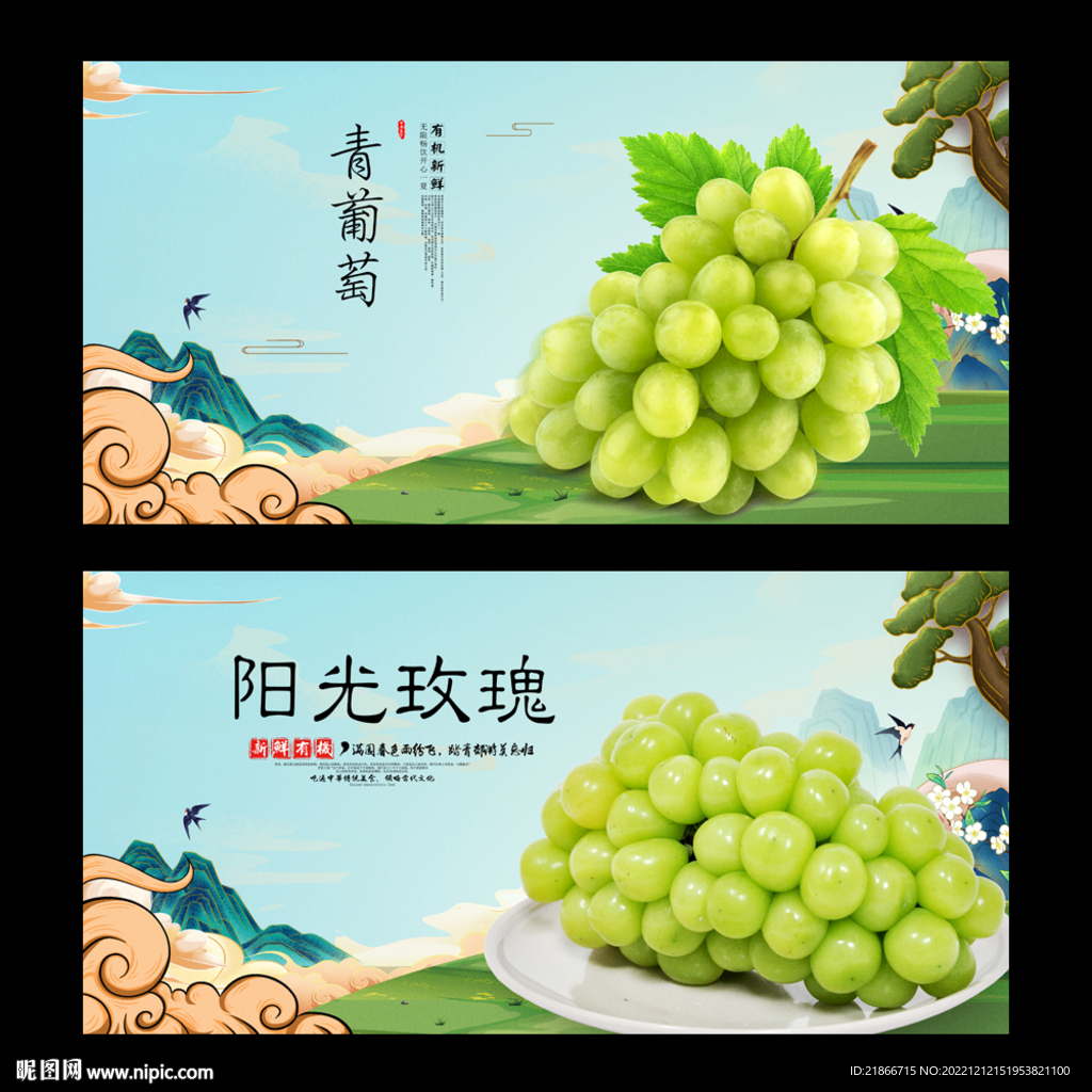 青葡萄