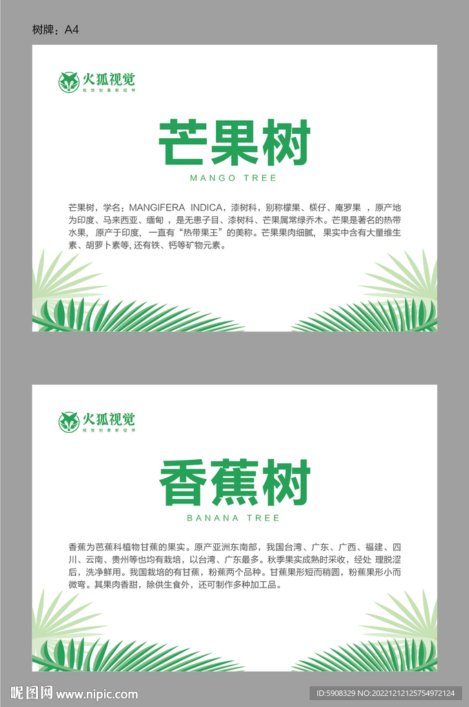 树名牌