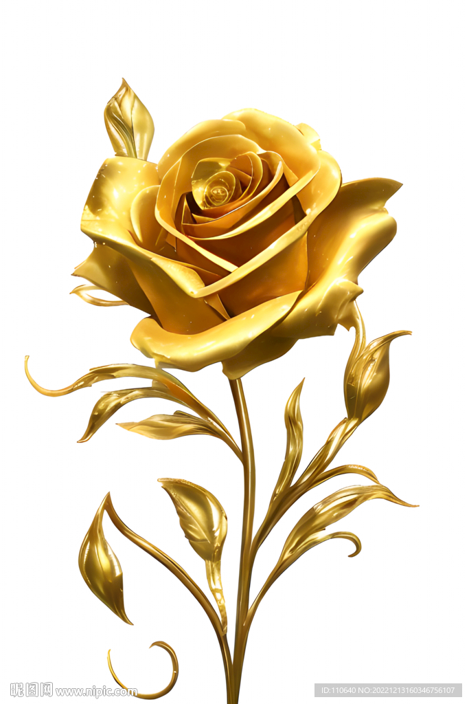 金色玫瑰花枝