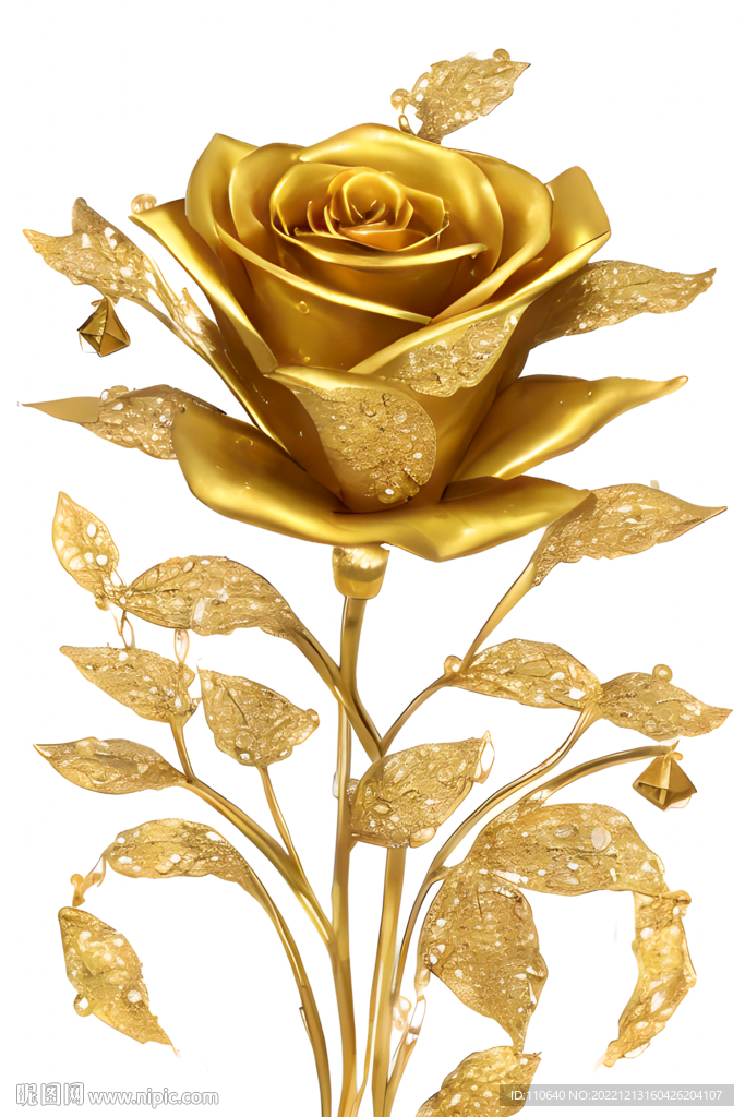 金色的玫瑰花枝