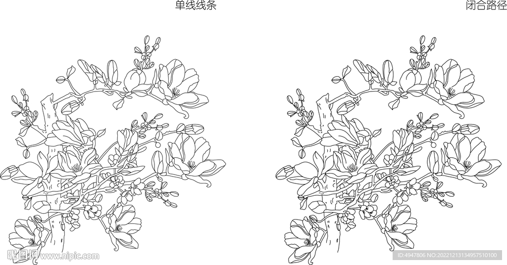 兰花 矢量图